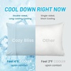 image:imageCozy Bliss 2 Pack Cooling Pillow Cases Queen 20 x 30 GreenBlue