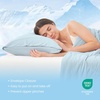 image:imageCozy Bliss 2 Pack Cooling Pillow Cases Queen 20 x 30 GreenBlue