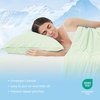 image:imageCozy Bliss 2 Pack Cooling Pillow Cases Queen 20 x 30 GreenGreen