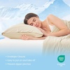 image:imageCozy Bliss 2 Pack Cooling Pillow Cases Queen 20 x 30 GreenKhaki