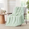 image:imageCozy Bliss Cooling Blanket for Hot Sleepers Queen Size QMax 045 Cooling Comfort Cold Blankets for Night Sweats Sleeping UltraCool Lightweight Breathable Blanket for Bed Mist GreyMint Green