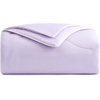 image:imageCozy Bliss Cooling Comforter Queen Size Reversible Lightweight Cooling Blankets for Hot Sleepers and Night Sweats QMaxgt045 Soft Breathable Silky Smooth Summer Comforter Cool Grey 90x90Lavender Purple