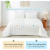 image:imageCozy Bliss Cooling Comforter Seersucker Plaid Queen Size QMax 045 Lightweight Cooling Blanket Breathable Silk Smooth Summer Bedding Quilt for Hot Sleepers Night Sweats Dark GrayWhite