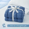 image:imageCozy Bliss Cooling Comforter Seersucker Plaid Queen Size QMax 045 Lightweight Cooling Blanket Breathable Silk Smooth Summer Bedding Quilt for Hot Sleepers Night Sweats Dark GrayNavy Blue