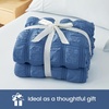 image:imageCozy Bliss Cooling Comforter Seersucker Plaid Queen Size QMax 045 Lightweight Cooling Blanket Breathable Silk Smooth Summer Bedding Quilt for Hot Sleepers Night Sweats Dark GrayNavy Blue