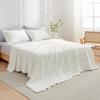image:imageCozy Bliss Cooling Comforter Twin Size Cooling Blankets for Hot Sleepers and Night Sweats Blue Summer Comforter for Twin Size Bed Breathable Soft Lightweight Silk SmoothCream