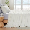 image:imageCozy Bliss Cooling Comforter Twin Size Cooling Blankets for Hot Sleepers and Night Sweats Blue Summer Comforter for Twin Size Bed Breathable Soft Lightweight Silk SmoothCream