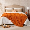 image:imageCozy Bliss Faux Fur Throw Blanket for Couch Cozy Warm Plush Striped Blanket for Sofa Bedroom Living Room 50  60 Inches Tiedye GreyBurnt Orange