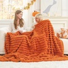 image:imageCozy Bliss Faux Fur Throw Blanket for Couch Cozy Warm Plush Striped Blanket for Sofa Bedroom Living Room 50  60 Inches Tiedye GreyBurnt Orange