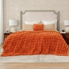 image:imageCozy Bliss Faux Fur Throw Blanket for Couch Fuzzy Soft Plush Thick Bubble Blanket for Sofa Bedroom Living Room 50  60 Inches BeigeBurnt Orange
