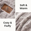 image:imageCozy Bliss Faux Fur Throw Blanket for Couch Fuzzy Soft Plush Thick Warm Fluffy Reversible Wave Textured Blanket for Sofa Bedroom Living Room 55  70 Inches Cream WhiteTiedye Grey