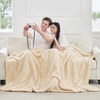 image:imageCozy Bliss Luxury Sherpa Throw Blanket for Couch Premium Reversible Buffalo Plaid Thick Throw Warm Cozy Soft Blanket for Home and Gifts Light Blue 50 x 60Mottled Beige