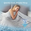 image:imageCozy Bliss Seersucker Cooling Comforter Queen Size QMax 045 Reversible Lightweight Cooling Blanket Breathable Silk Smooth Summer Bedding Quilt for Hot Sleepers Night Sweats Dark GreyLight Grey