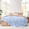 image:imageCozy Bliss Ultrasoft Waffle Throw Blanket Fluffy Cute Plush Blanket for Couch Bed Modern Home Accent Portable for Picnic or Outdoor Brown 50x60Light Blue