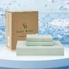 Light Mint Green